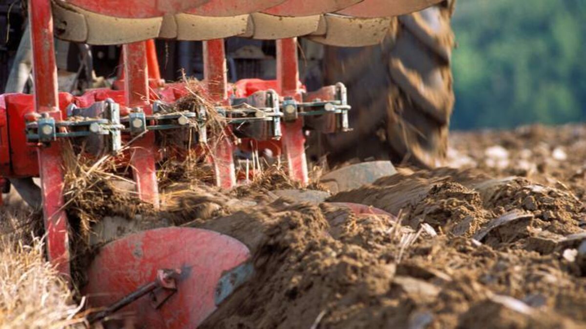 Traffic plans for National Ploughing Championships
