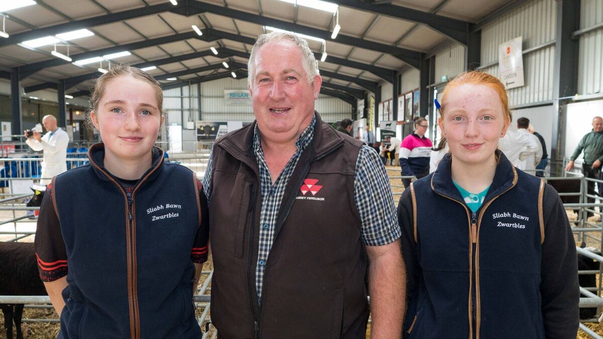 Local Notes: Harvest Party, Ardcarne Foroige, Echoes of Éireann