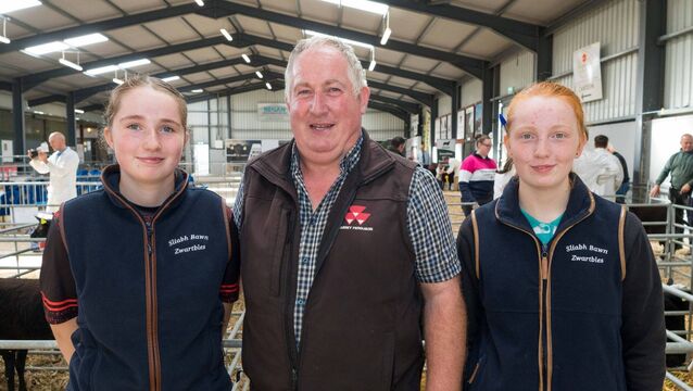 Local Notes: Harvest Party, Ardcarne Foroige, Echoes of Éireann