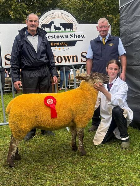 Alexandra Lavin, The Glebe, Tibohine, winner of the Young Handler class at the recent Strokestown Show. Alexandra Lavin, The Glebe, Tibohine, winner of the Young Handler class at the recent Strokestown Show.
