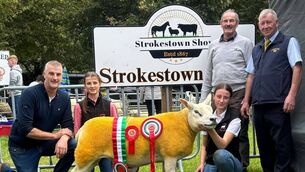 <p>Arianna and Alexandra Lavin, The Glebe, Tibohine, with their prizewinning sheep, which was the Overall Texel Champion at the recent Strokestown Show. Pictured on the left is their father Fergus.</p>