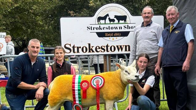 <p>Arianna and Alexandra Lavin, The Glebe, Tibohine, with their prizewinning sheep, which was the Overall Texel Champion at the recent Strokestown Show. Pictured on the left is their father Fergus.</p>