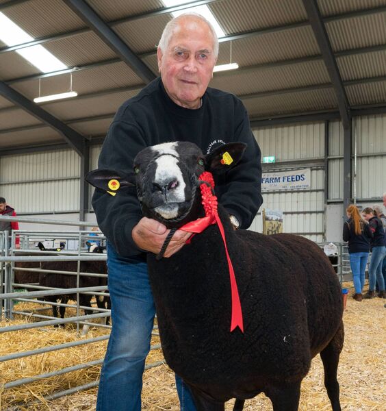 John Powell from Ballygar with Ballygar Nedkelly his shearling ram at the Zwartbles Sheep Breeders of Ireland, show and sale at Carrick Showgrounds on Saturday last. Pic: Gerry Faughnan John Powell from Ballygar with Ballygar Nedkelly his shearling ram at the Zwartbles Sheep Breeders of Ireland, show and sale at Carrick Showgrounds on Saturday last. Pic: Gerry Faughnan