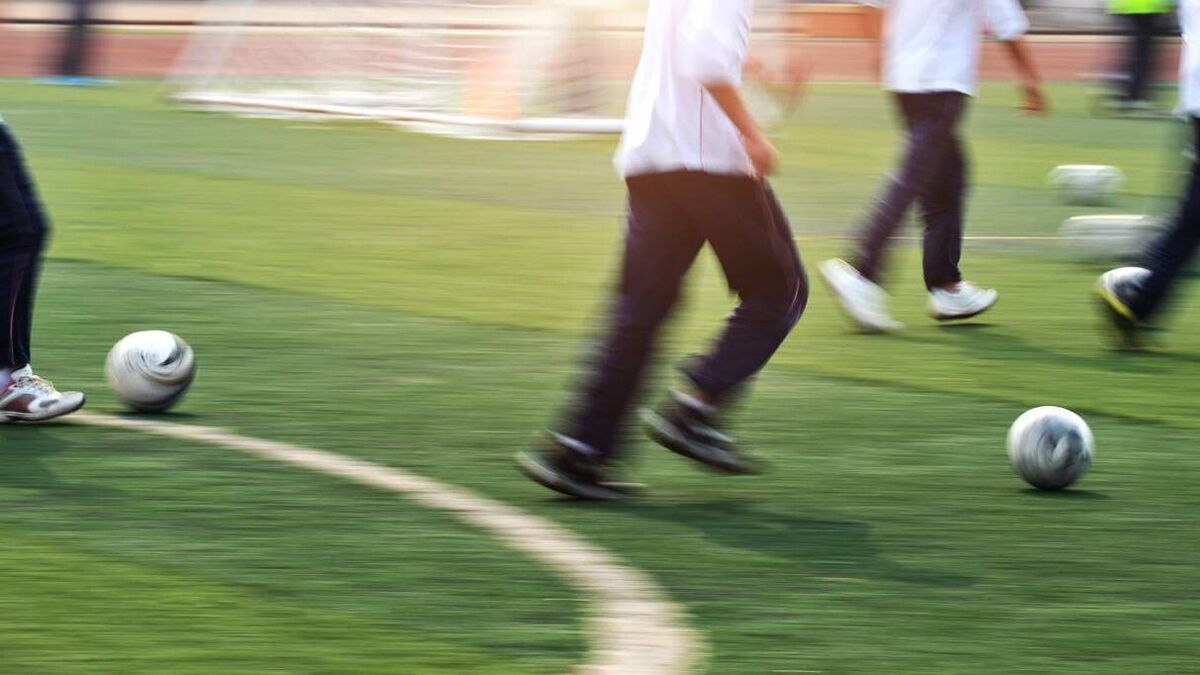 Roscommon school gets go-ahead for community garden and games area
