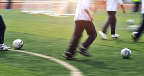 Roscommon school gets go-ahead for community garden and games area 