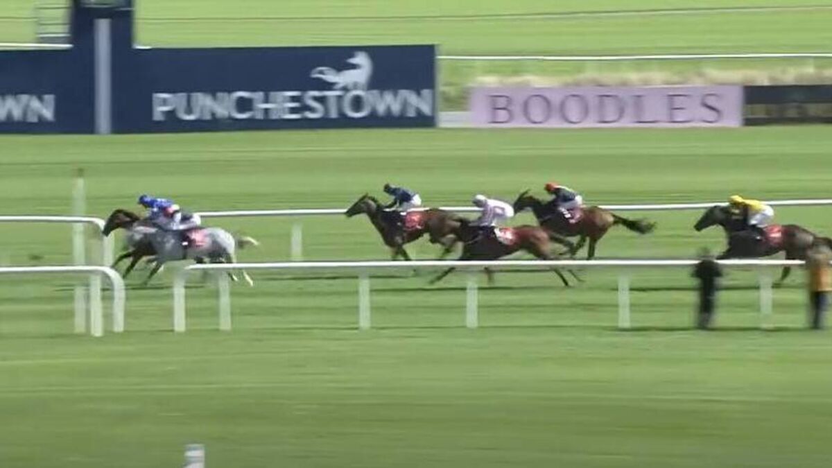 Roscommon horse owner enjoys success at Punchestown