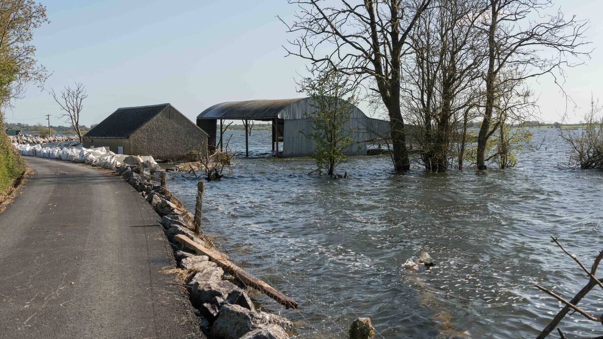 Fourth public consultation to take place on long-term flood relief solution for Lough Funshinagh