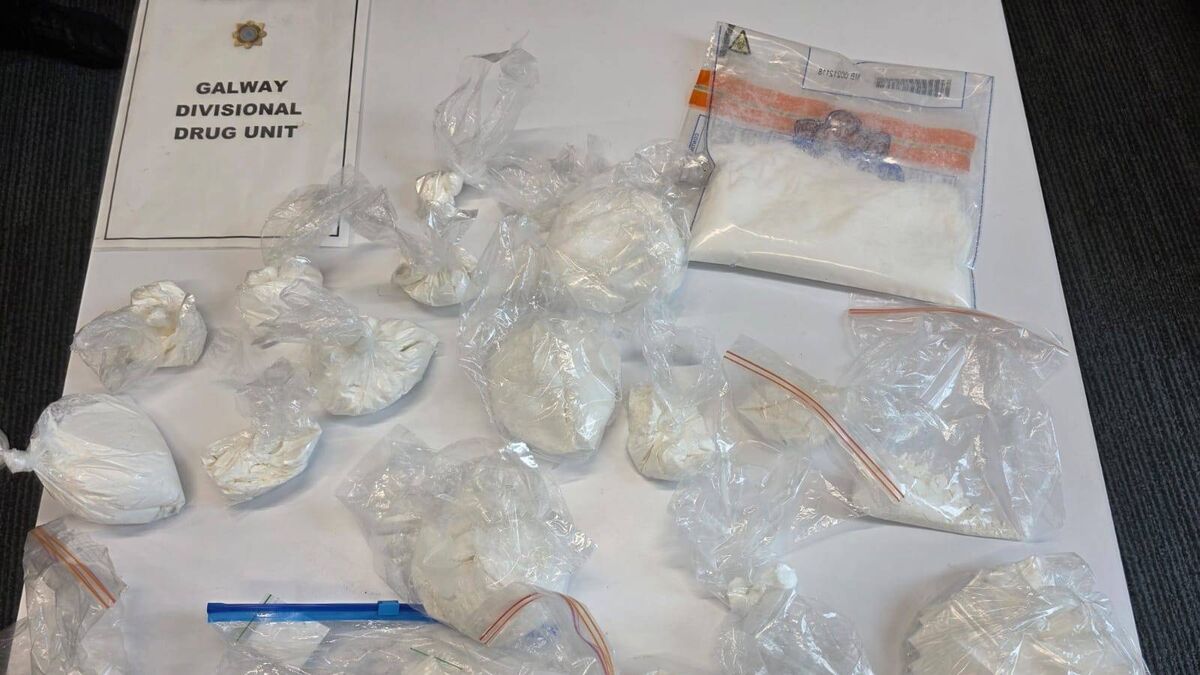 Local gardaí make major seizures of alleged drugs 