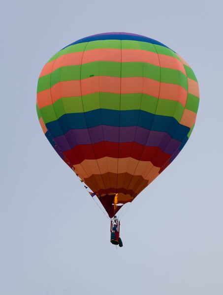 The skies of North Roscommon are filled with colour and excitement as Lough Key Forest Park, Boyle hosts the Irish Hot Air Ballooning Championships. Pic: Gerry Faughnan The skies of North Roscommon are filled with colour and excitement as Lough Key Forest Park, Boyle hosts the Irish Hot Air Ballooning Championships. Pic: Gerry Faughnan