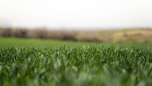 <p>The meeting heard that the company that owned the land wanted to build a retirement community facility. Pic: iStock</p> <p>The meeting heard that the company that owned the land wanted to build a retirement community facility. Pic: iStock</p>