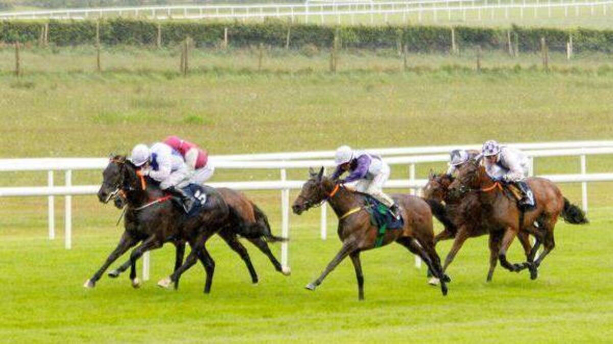 Roscommon Racing fixtures for 2027 confirmed