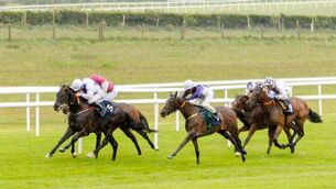<p>There's another packed schedule of Roscommon Racing in 2027. </p> <p>There's another packed schedule of Roscommon Racing in 2027. </p>