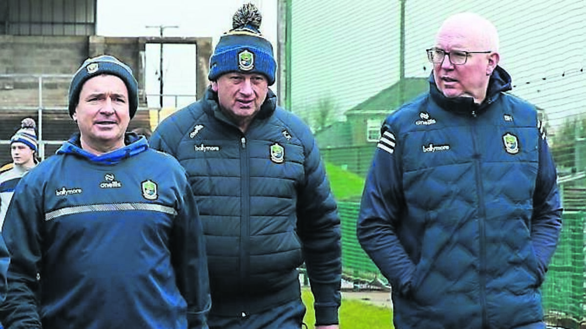 Roscommon on the lookout for new senior hurling manager