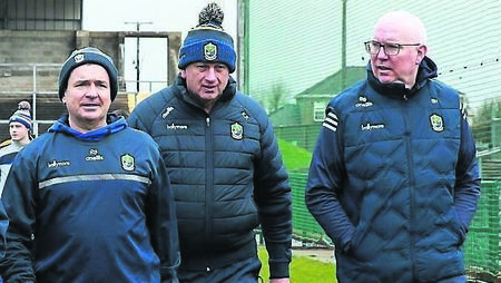 Roscommon on the lookout for new senior hurling manager
