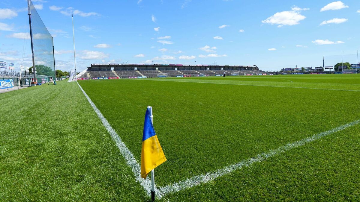 Roscommon pledges support to integration