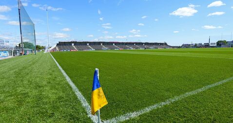 Roscommon pledges support to integration