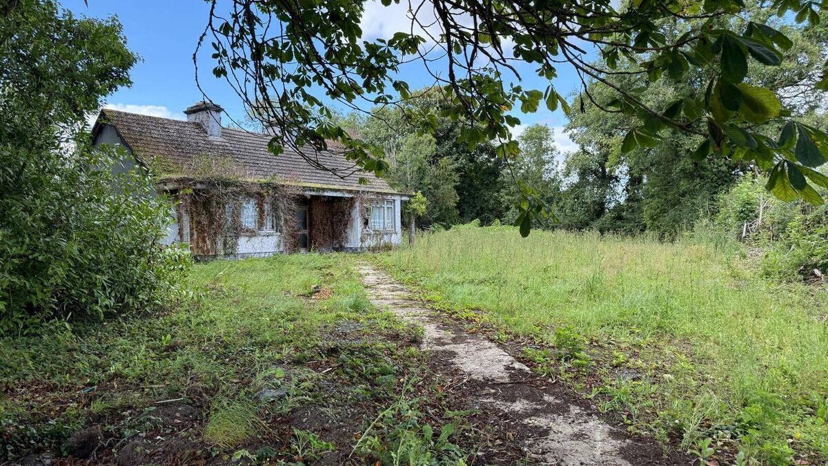 County Roscommon bungalow on .75 acres would make ideal renovation project