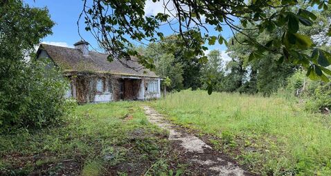 County Roscommon bungalow on .75 acres would make ideal renovation project