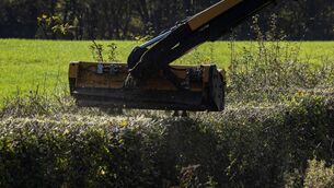 <p>The level of verge trimming being carried out on some roads was described as "very poor". Pic: iStock</p> <p>The level of verge trimming being carried out on some roads was described as "very poor". Pic: iStock</p>