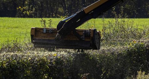 Level of road verge trimming in the county 'very poor'