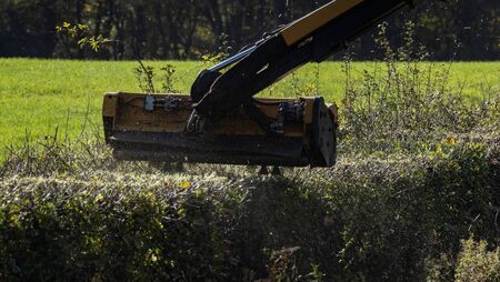 Level of road verge trimming in the county 'very poor'
