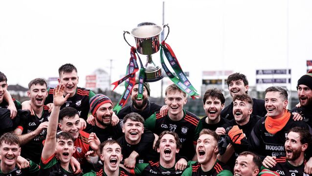 <p>The St. Brigid's senior footballers celebrate their Connacht club football championship success at King and Moffatt Dr. Hyde Park last year. Picture: INPHO/Dan Clohessy</p>