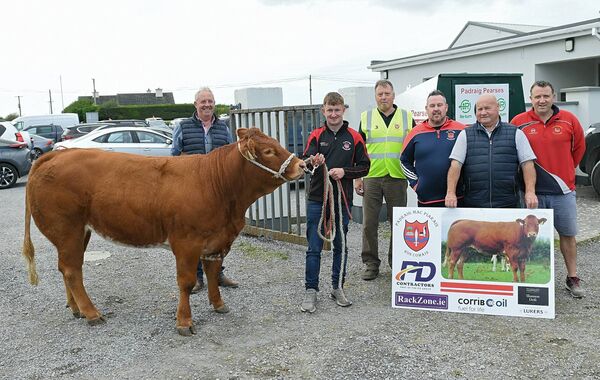 MOO-VING FORWARD: Pádraig Pearses GAA Club is currently fundraising, with a Limousin heifer on offer as the first prize in the club's current fundraising draw. Pictured at the recent senior football championship quarter-final between St. Brigid's and Roscommon Gaels in Woodmount were Mike Glennon, Martin Glennon, Mike Feehily, Alex Farrell, John Kelly and Colin Murray. Picture: Gerard O’Loughlin MOO-VING FORWARD: Pádraig Pearses GAA Club is currently fundraising, with a Limousin heifer on offer as the first prize in the club's current fundraising draw. Pictured at the recent senior football championship quarter-final between St. Brigid's and Roscommon Gaels in Woodmount were Mike Glennon, Martin Glennon, Mike Feehily, Alex Farrell, John Kelly and Colin Murray. Picture: Gerard O’Loughlin
