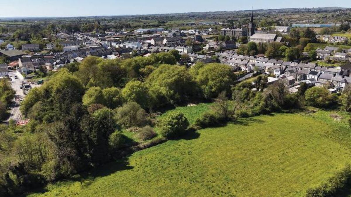 Council seeks design team to advance town project - News - Roscommon Herald