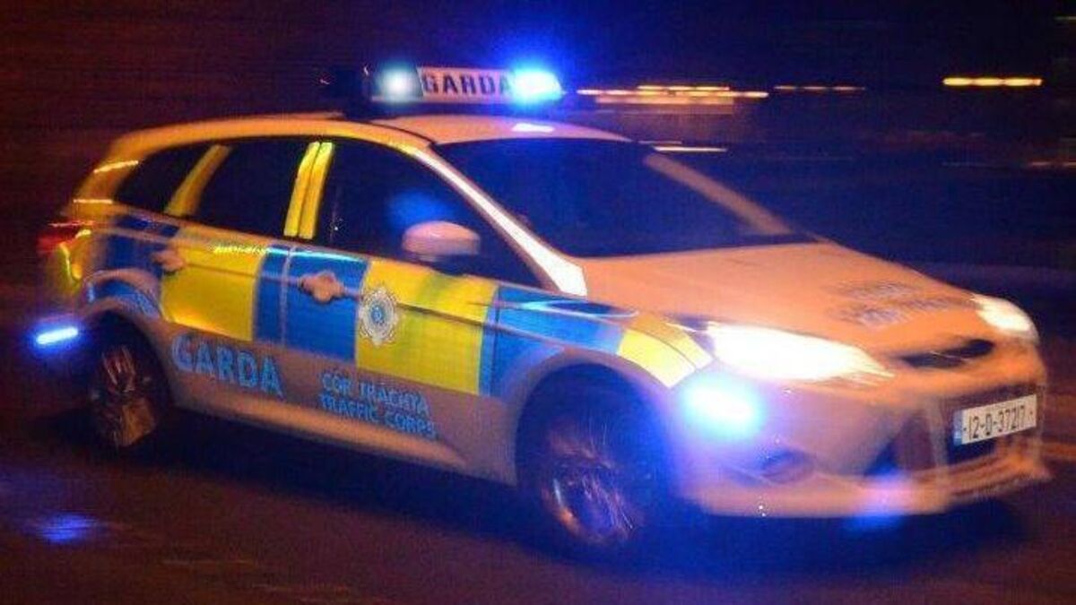 Garda forced to hitch lift to emergency after electric patrol car runs low