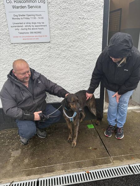 Paul and Mandy Hart with their rescue dog Max from Roscommon Dog Shelter.