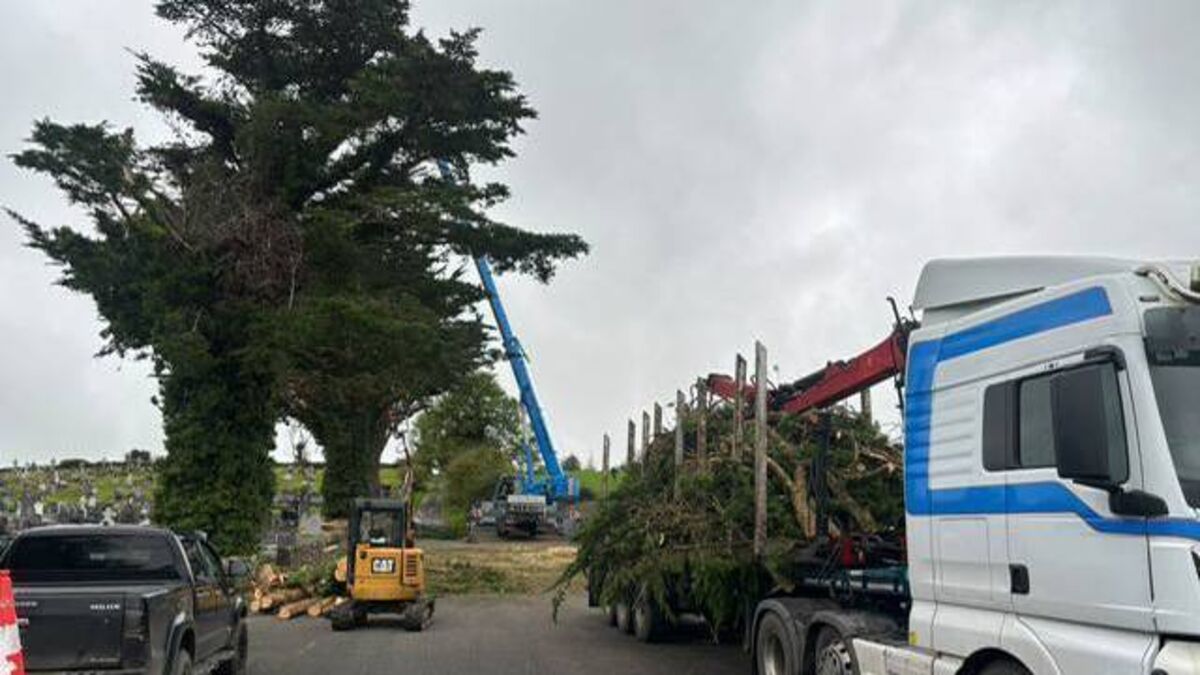Action Plan project completed at County Roscommon graveyard