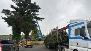 <p>The County Roscommon Cemeteries Graveyards Committee recently completed one of its Action Plan projects at Assylinn Graveyard. </p>