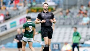 <p>Matthew Farrell will take charge of next Sunday's Offaly senior hurling final. Picture: INPHO/Laszlo Geczo</p>