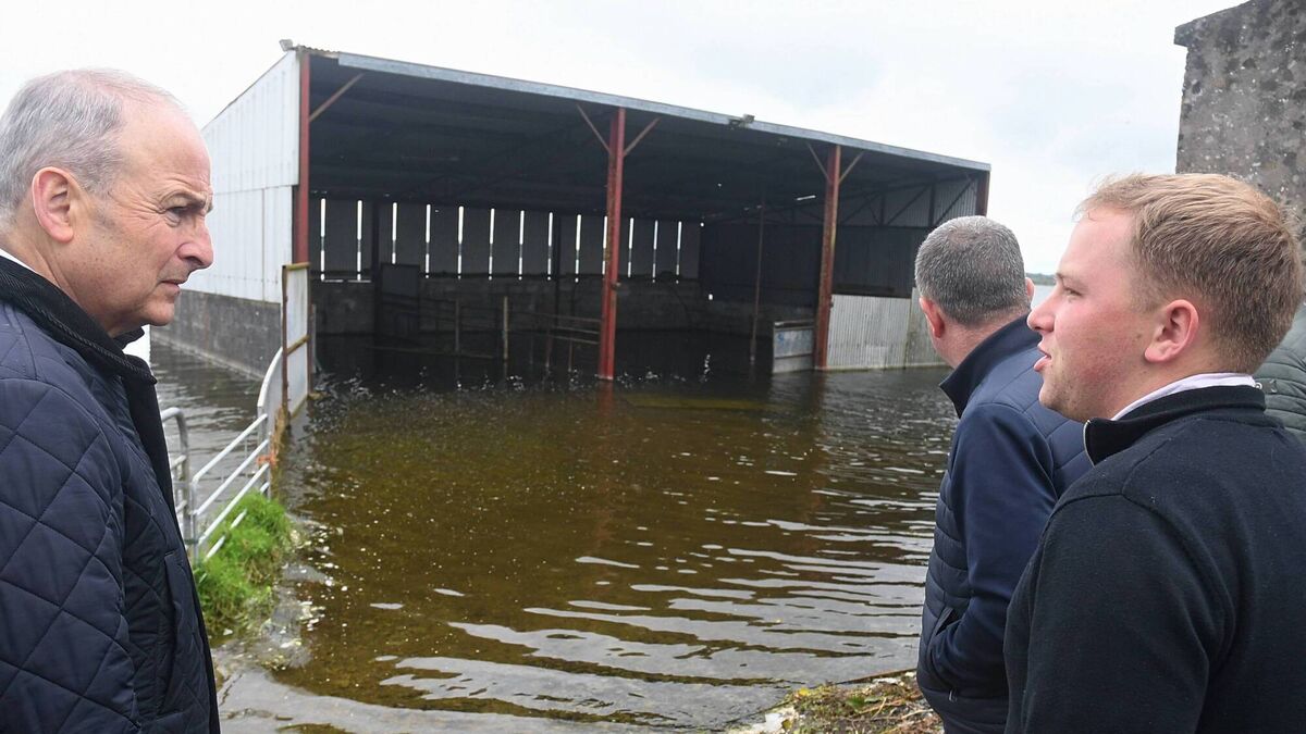 Renewed calls to compensate farmers affected by Lough Funshinagh
