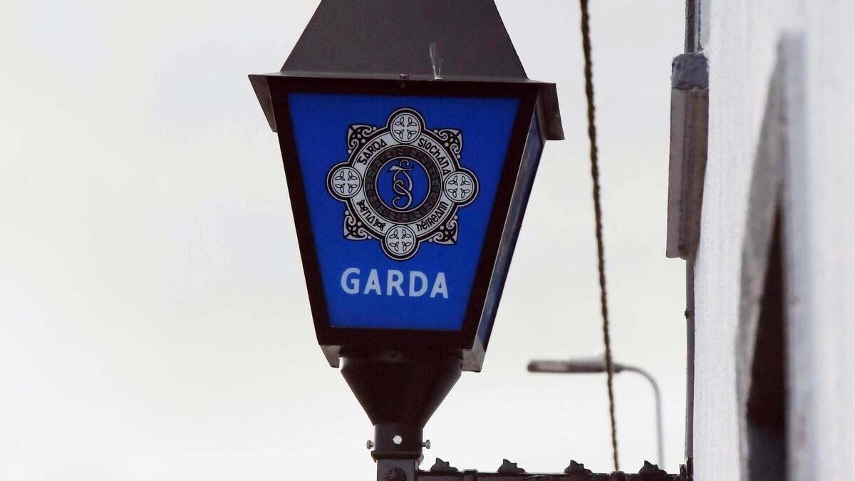 Local Gardaí appeal for witnesses after serious collision 