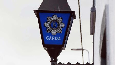 Local Gardaí appeal for witnesses after serious collision 