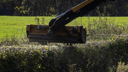 Council aims to tackle hazardous hedge growth