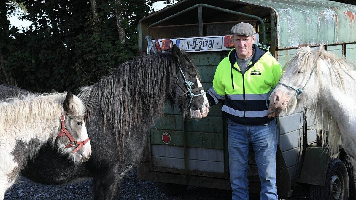 Local Notes: Mass Times, Scór na nÓg and Barn Dance 