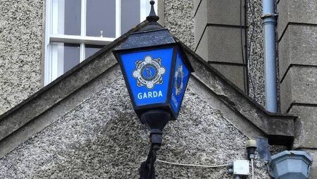 Gardaí seize €3 million worth of illegal vapes and cannabis-based products