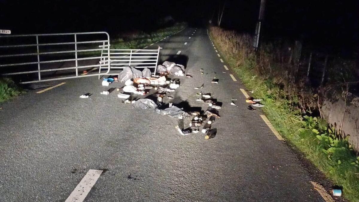 Councillor condemns ‘despicable behaviour’