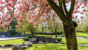 <p>A proposal to create a public park in Strokestown received widespread support at a recent meeting on rezoning land in the county.</p> <p>A proposal to create a public park in Strokestown received widespread support at a recent meeting on rezoning land in the county.</p>