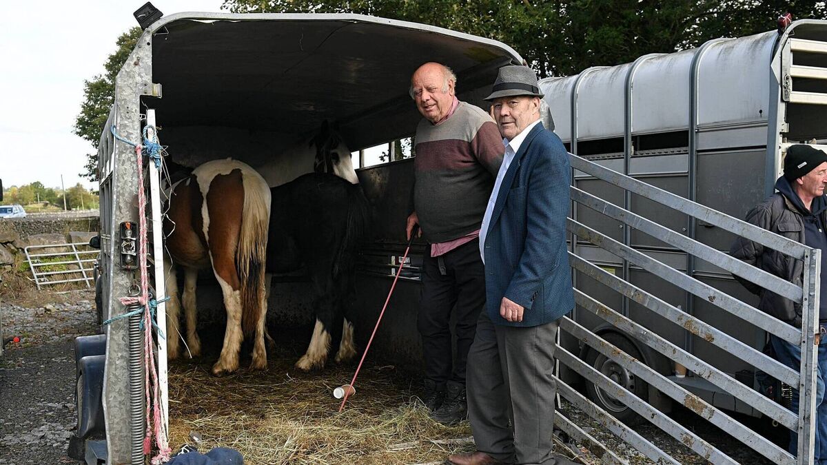 Local Notes: Wedding Bells, Flourishing Tourism, County Finalists
