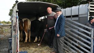 <p>James Coffey and Cyril Cunningham, Lecarrow, pictured at Fuerty Fair last weekend. Pic: Gerard O’Loughlin </p> <p>James Coffey and Cyril Cunningham, Lecarrow, pictured at Fuerty Fair last weekend. Pic: Gerard O’Loughlin </p>