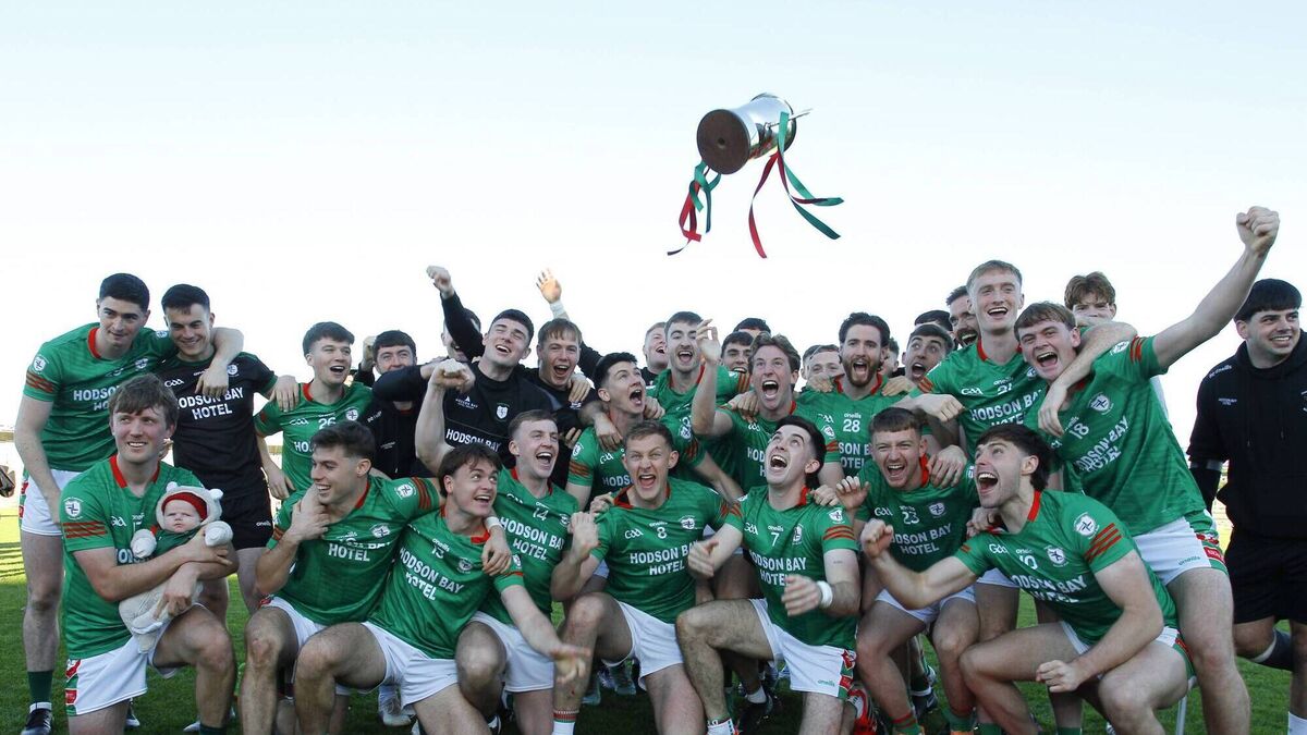 St. Brigid's get the better of Pádraig Pearses after another pulsating decider