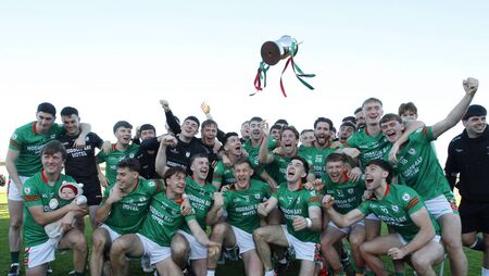 St. Brigid's get the better of Pádraig Pearses after another pulsating decider