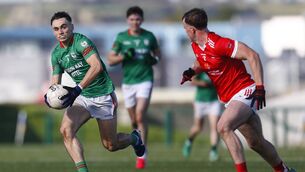 <p>St. Brigid's Conor Hand produced a Player of the Match display as his side retained the Fahey Cup. Picture: INPHO/Ashley Cahill</p> <p>St. Brigid's Conor Hand produced a Player of the Match display as his side retained the Fahey Cup. Picture: INPHO/Ashley Cahill</p>