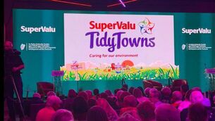 <p>Ballintubber, Keadue and Roscommon Town were the big winners today.</p>