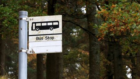 Plans unveiled to upgrade bus stop facilities in county town