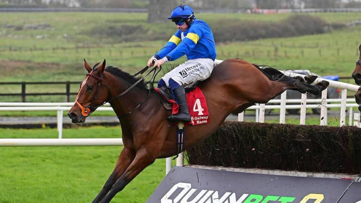 Roscommon horse owner enjoys success in Galway