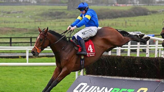Roscommon horse owner enjoys success in Galway